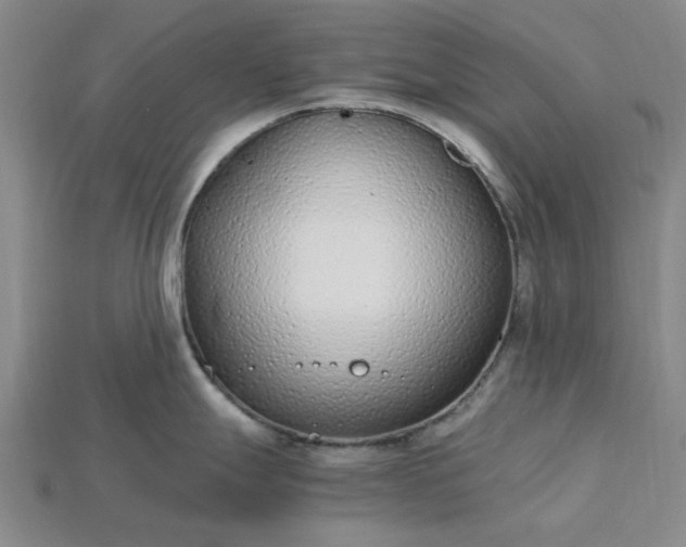 X0000115261247200911131739