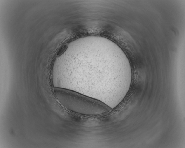 X0000115261249200911131739