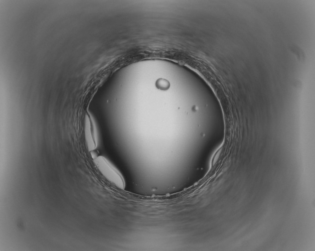 X0000115261253200911131739