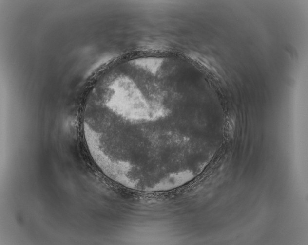 X0000115261254200911131739
