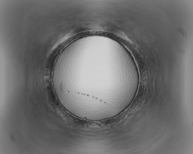 X0000115261255200911131739