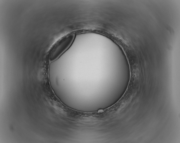 X0000115261256200911131739