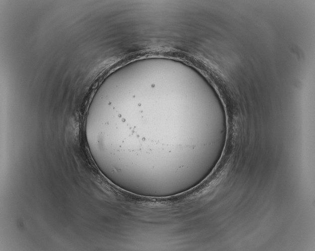 X0000115261257200911131739