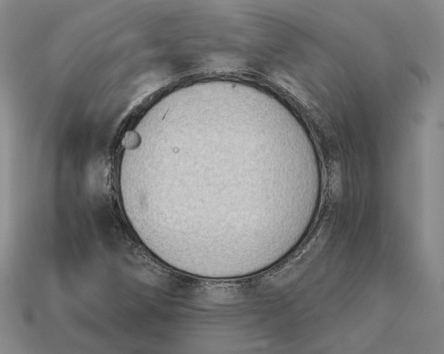 X0000115261258200911131739