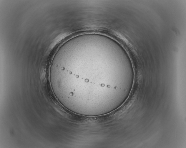 X0000115261259200911131739