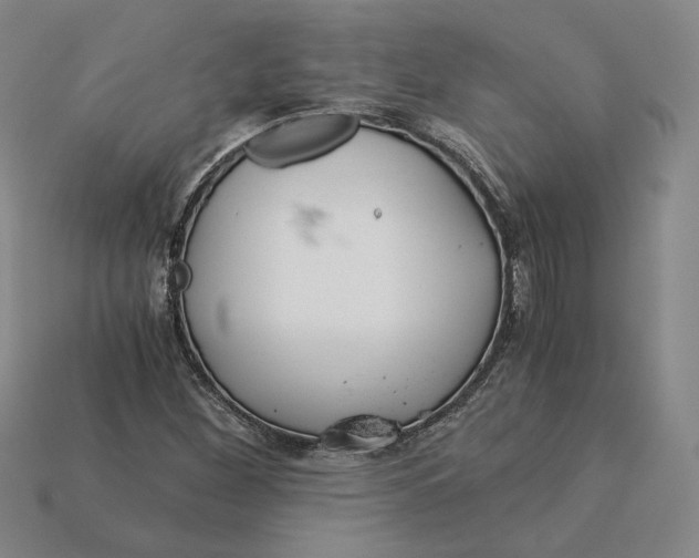 X0000115261260200911131739