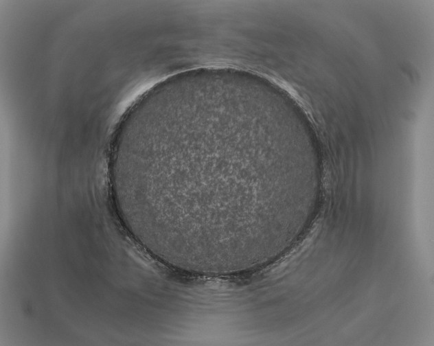 X0000115261263200911131739
