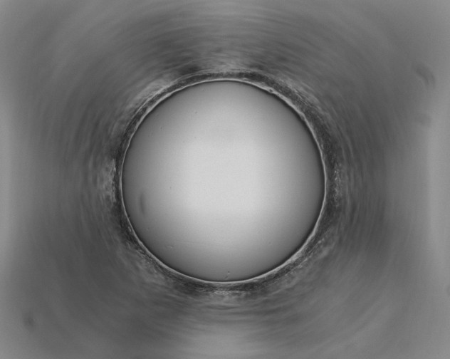 X0000115261265200911131738