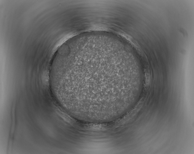 X0000115261266200911131738