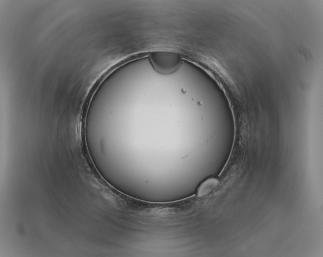 X0000115261268200911131738