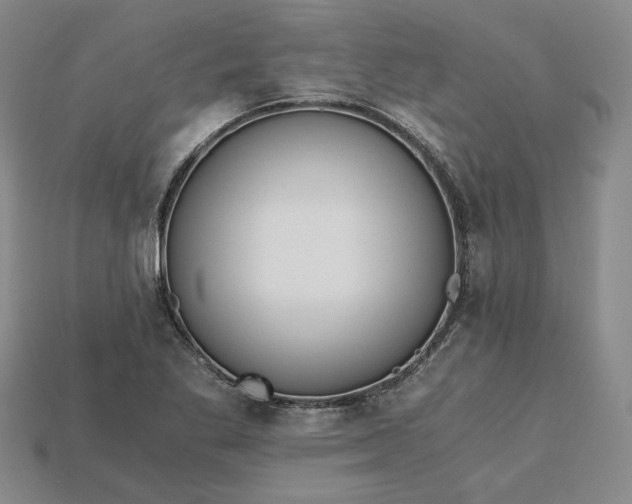 X0000115261269200911131738
