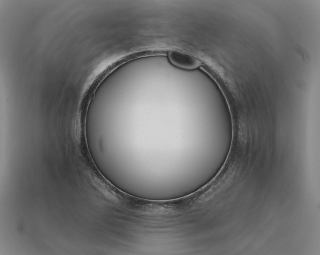X0000115261270200911131738
