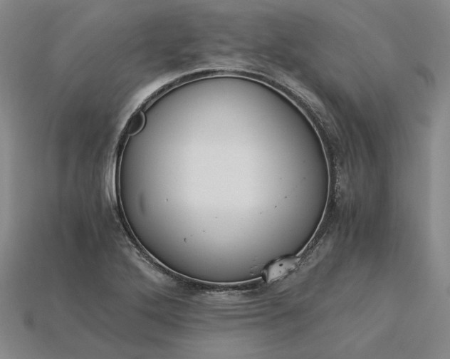 X0000115261272200911131738