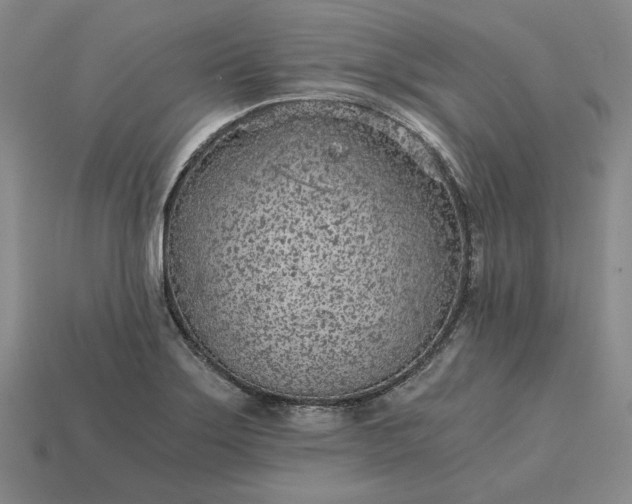 X0000115261275200911131738