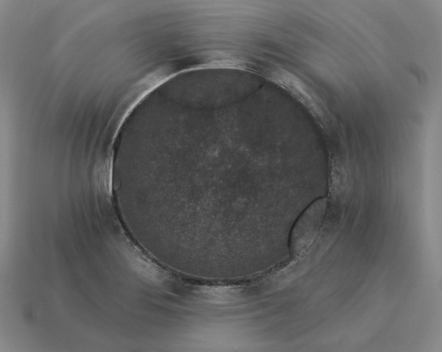X0000115261276200911131738