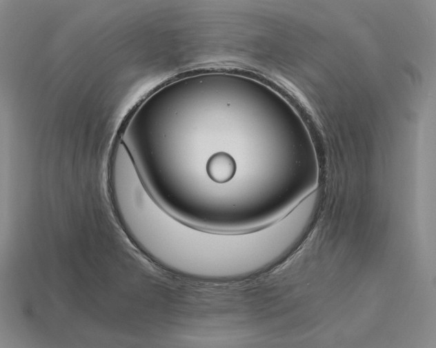 X0000115261277200911131738