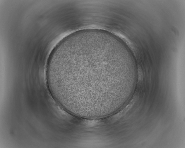X0000115261278200911131738