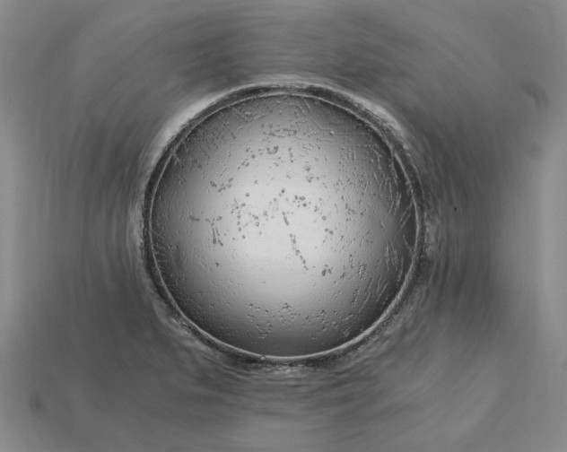 X0000115261279200911131738