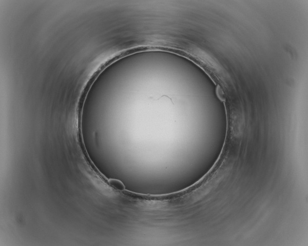X0000115261280200911131738