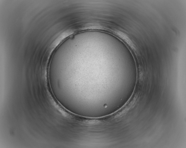 X0000115261282200911131738