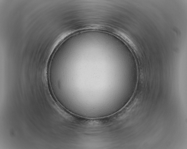 X0000115261283200911131738