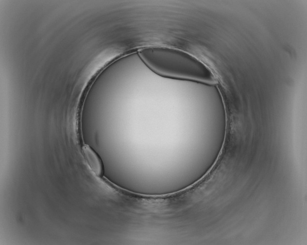 X0000115261285200911131738