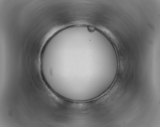 X0000115261286200911131738