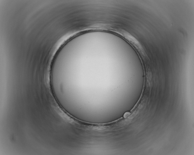 X0000115261288200911131738