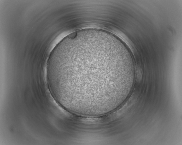 X0000115261290200911131738
