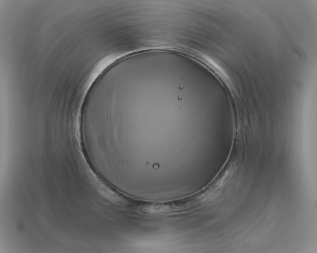X0000115261291200911131738