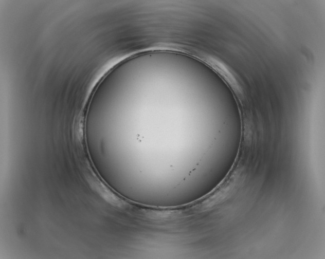 X0000115261292200911131738