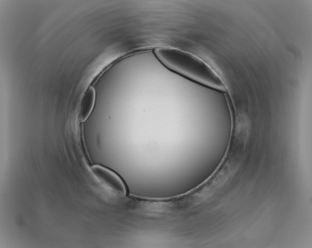X0000115261293200911131738
