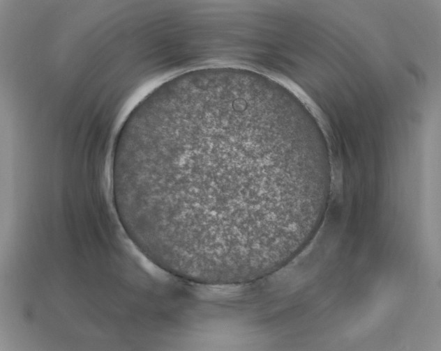 X0000115261294200911131738