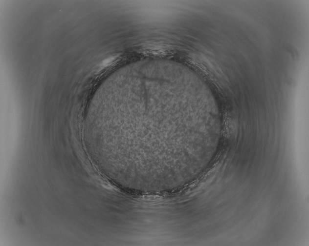 X0000115261297200911131737