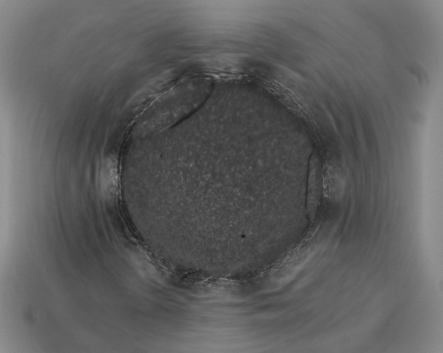 X0000115261298200911131737