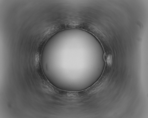 X0000115261299200911131737