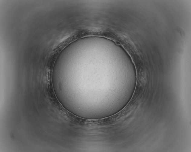 X0000115261301200911131737