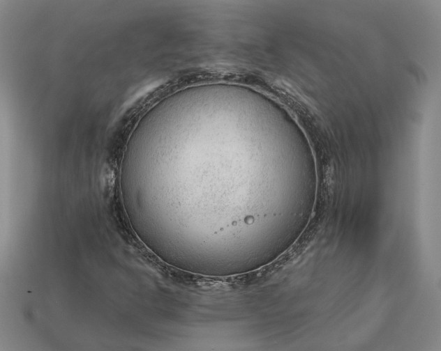 X0000115261302200911131737