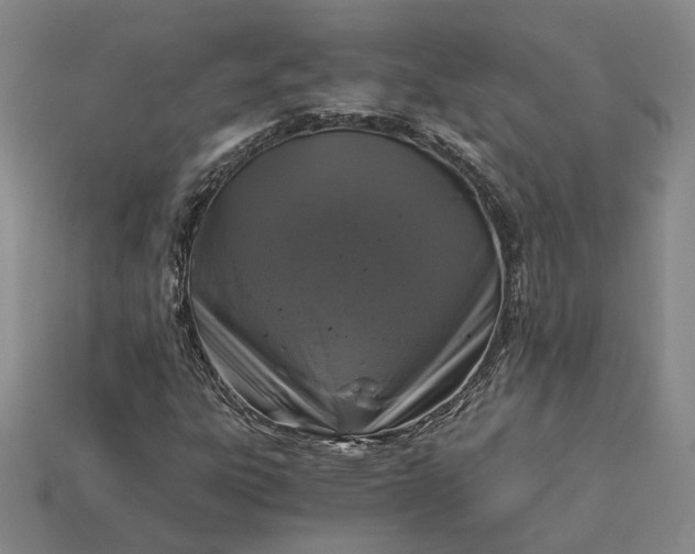 X0000115261303200911131737