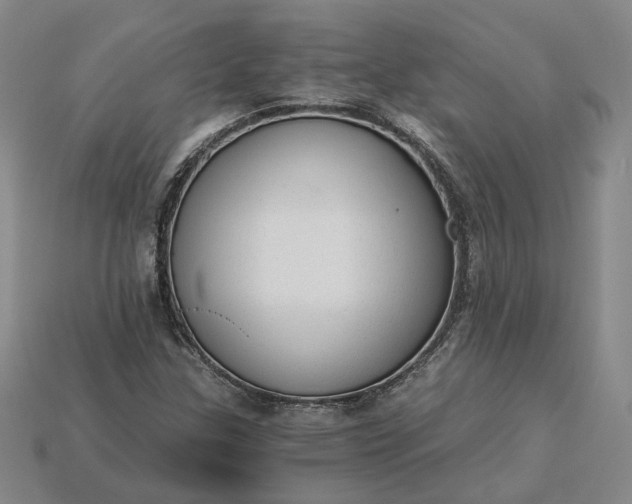 X0000115261307200911131738