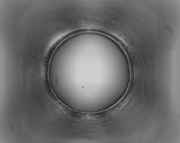 X0000115261311200911131738
