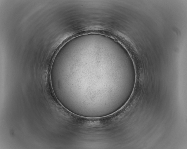 X0000115261313200911131738