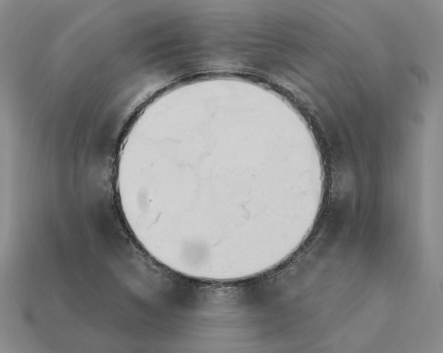 X0000115261314200911131738