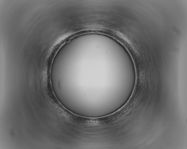 X0000115261315200911131738