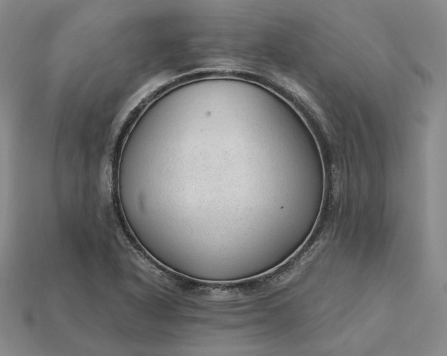 X0000115261318200911131738
