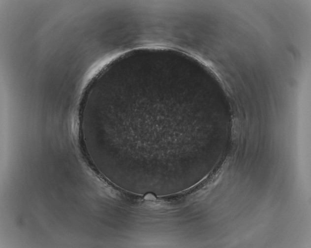 X0000115261319200911131738