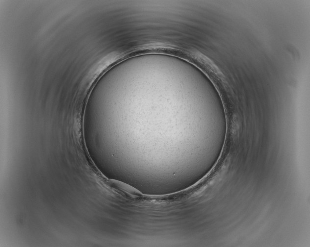 X0000115261321200911131738