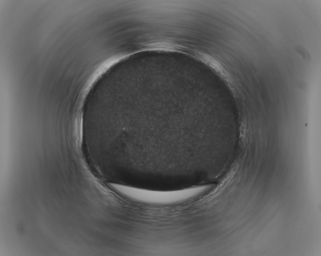 X0000115261323200911131738