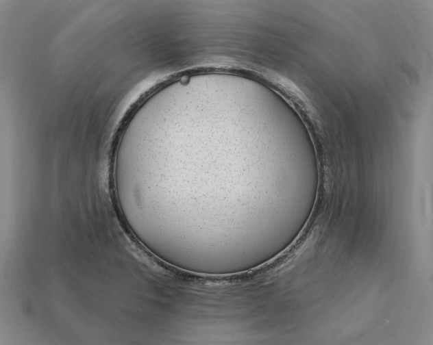 X0000115261326200911131738