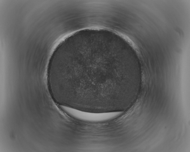 X0000115261327200911131738